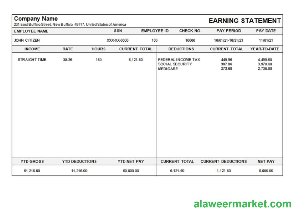 USA Michigan pay stub